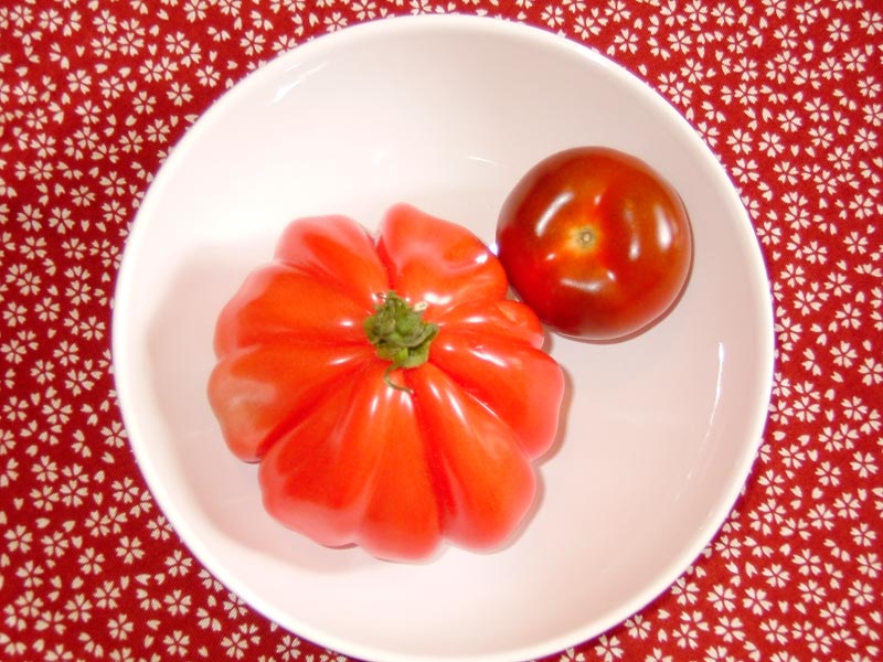 可愛いトマト2種